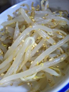 もやしの胡麻和え-レシピのメイン写真