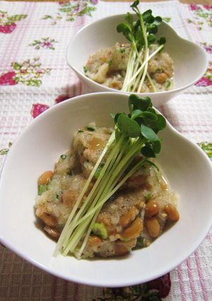 ご飯におつまみに✿葱梅納豆おろしなめたけ-レシピのメイン写真