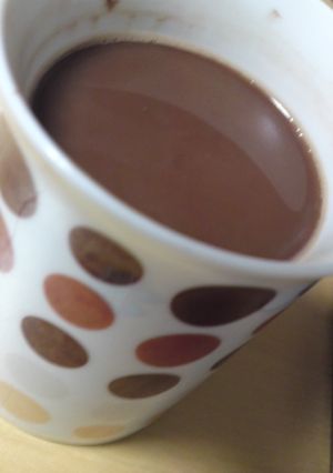 ココアの好きな飲み方-レシピのメイン写真