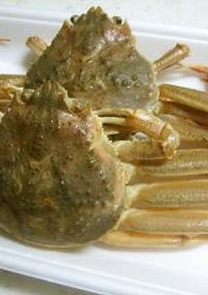 蟹のゆで方　せいこがに、香箱蟹の食べ方-レシピのメイン写真