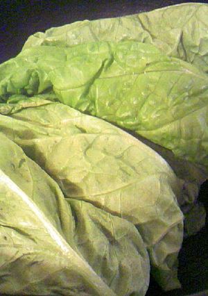 納豆のサンチュ巻き-レシピのメイン写真