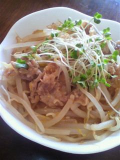 【レンジでチン♪シリーズ】味噌豚丼-レシピのメイン写真