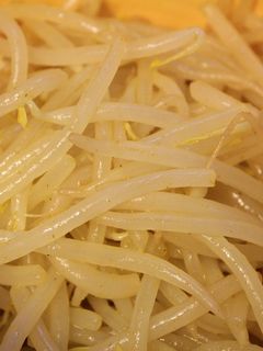 【糖質制限】モヤシのカレーマリネ-レシピのメイン写真