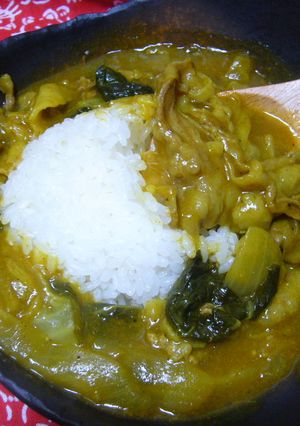 日本風☆カレー-レシピのメイン写真
