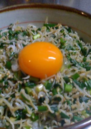 ねぎごましらすご飯-レシピのメイン写真