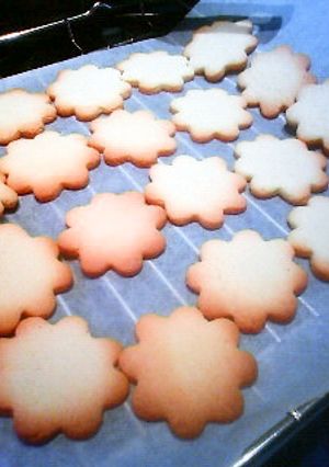 基本の型抜きクッキー。アイシングにも-レシピのメイン写真