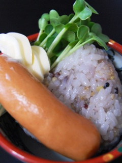カイワレ丼-レシピのメイン写真