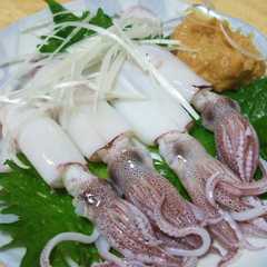 รูปของ 釣り人が作るヒイカの酢味噌あえ
