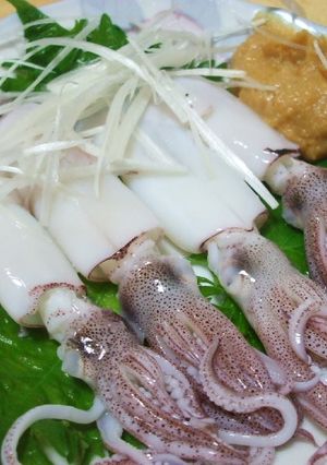 釣り人が作るヒイカの酢味噌あえ-レシピのメイン写真