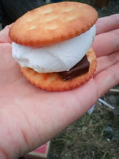 BBQで焼きマシュマロ☆-レシピのメイン写真