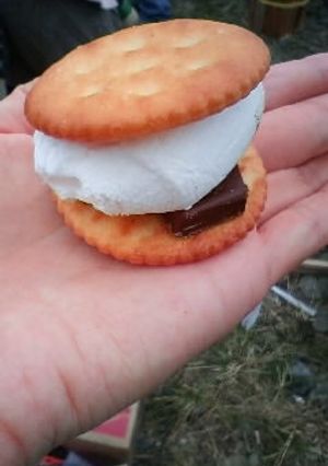 BBQで焼きマシュマロ☆-レシピのメイン写真
