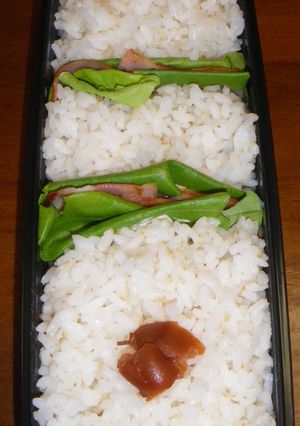 ごはんのサンドイッチ☆-レシピのメイン写真