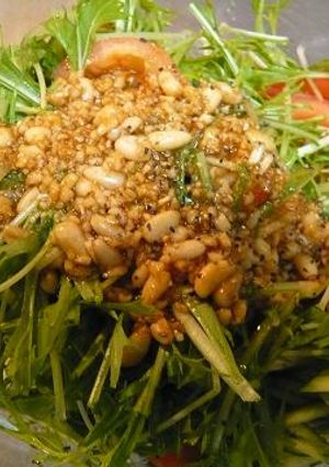 水菜の松の実ドレッシングサラダ-レシピのメイン写真