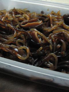 白滝とひじきの甘辛煮-レシピのメイン写真