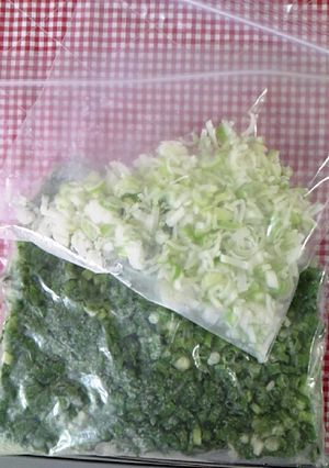 楽チン♪わけぎ・ねぎの保存-レシピのメイン写真