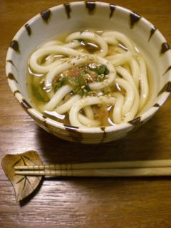 *梅しそうどん*-レシピのメイン写真