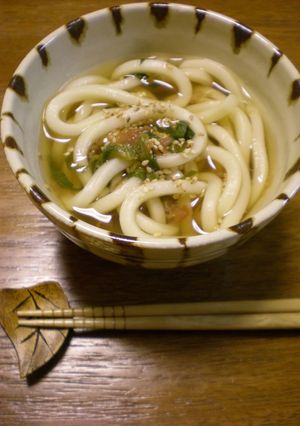 *梅しそうどん*-レシピのメイン写真