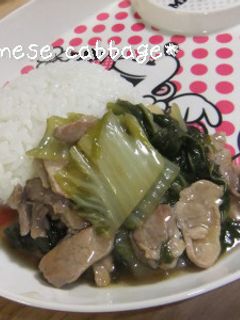 ◎めんつゆ◎白菜あんかけご飯-レシピのメイン写真