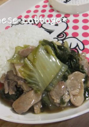 ◎めんつゆ◎白菜あんかけご飯-レシピのメイン写真