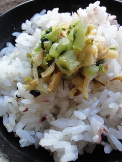 生姜と大根葉の常備菜-レシピのメイン写真