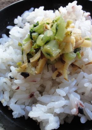生姜と大根葉の常備菜-レシピのメイン写真