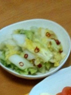 白菜のお漬け物-レシピのメイン写真