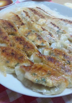 人参と豆腐のヘルシーギョーザ★-レシピのメイン写真