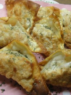 ごぼうのワンタン揚げ~!-レシピのメイン写真