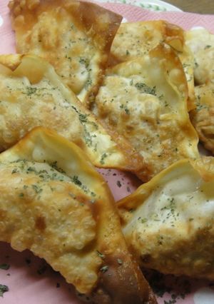 ごぼうのワンタン揚げ～！-レシピのメイン写真