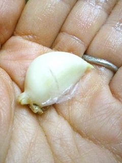 簡単なにんにくの皮のむき方-レシピのメイン写真