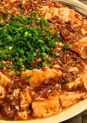 激辛の牛入り麻婆豆腐-レシピのメイン写真