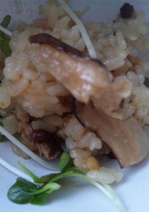 あー幸せ♪圧力鍋で松茸ご飯-レシピのメイン写真