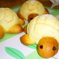 基本からアレンジまで！思わずつくりたくなる「かめ メロンパン」の