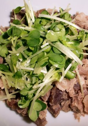 やみつきカイワレ大根とスジ肉のポン酢和え-レシピのメイン写真