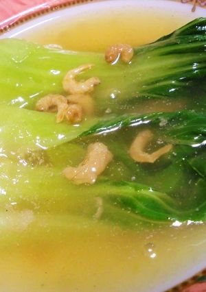 牛肉ダシダの青梗菜のとろ～りあん煮込み-レシピのメイン写真