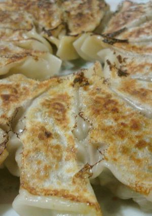 肉汁ジュワッ❤だけどヘルシーなもやし餃子-レシピのメイン写真