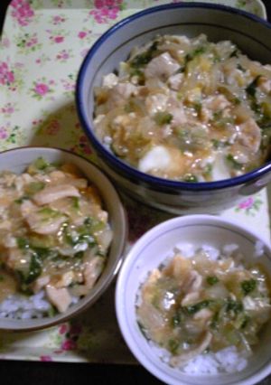 材料不足でも☆アレンジ親子あんかけ丼-レシピのメイン写真