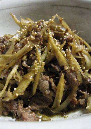 じじが大好き☆牛肉とごぼうのしぐれ煮-レシピのメイン写真