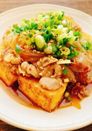 ご飯がすすむ!厚揚げの甘辛豚ねぎのせ-レシピのメイン写真