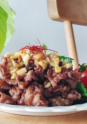 簡単ラム肉の油淋鶏風ねぎダレ☆今夜の夕食-レシピのメイン写真