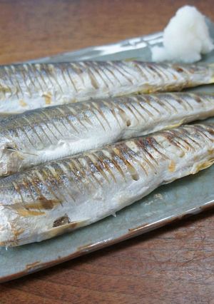 カマスの冷蔵庫干し焼き-レシピのメイン写真