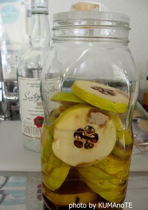かりん酒　ウォッカ漬け-レシピのメイン写真