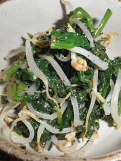 もやしとほうれん草のわさび麺つゆごま和え-レシピのメイン写真