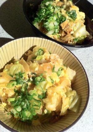厚揚げで！つゆだく！ベジ親子丼-レシピのメイン写真