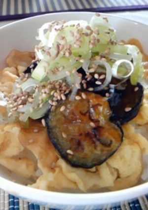 ☆カンタン☆ナスと玉子の甘辛丼☆-レシピのメイン写真