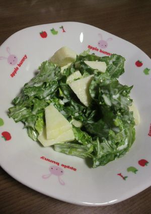 超簡単！りんごサラダ-レシピのメイン写真