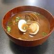 これで完璧! アサリ砂抜き&簡単保存法