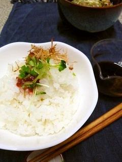 大根おろしであっさりごはん-レシピのメイン写真