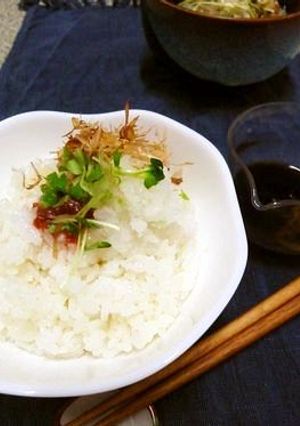 大根おろしであっさりごはん-レシピのメイン写真