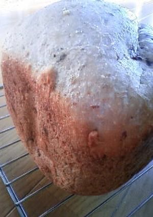 GOPAN de 胡桃レーズンパン-レシピのメイン写真